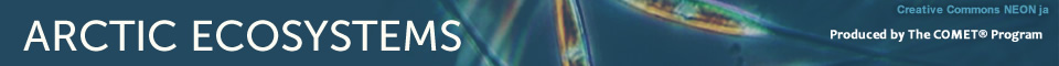 Arctic Ecosystems