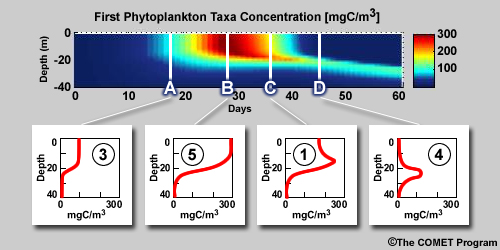 Correct answer to question