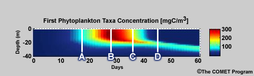 Time-Depth cross section of phytoplankton abundance