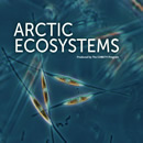 Photomicrograph of Diatoms