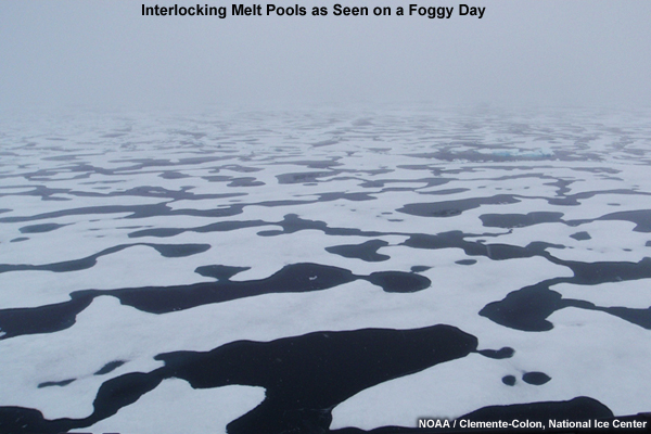 Photo of interlocking melt pools as seen on a foggy day.