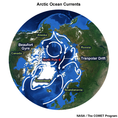 Arctic Ocean Currents