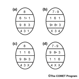 Four Sea Ice Egg Codes