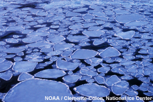 Photo of sea ice